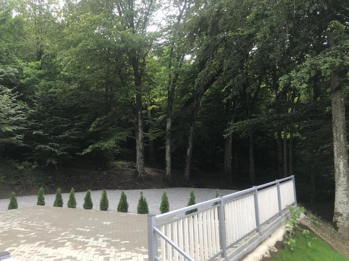 Vila Niki Sovata Buitenkant foto